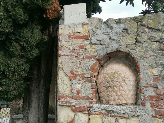 pigna gigante pigna gigante