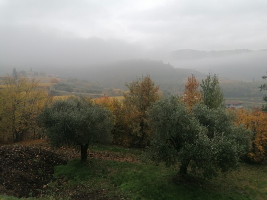 Nebbiolina autunnale e colori verso Castel Nebbiolina autunnale e colori verso Castel