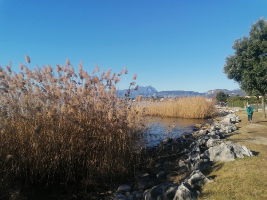 lungolago Cisano Bardolino lungolago Cisano Bardolino
