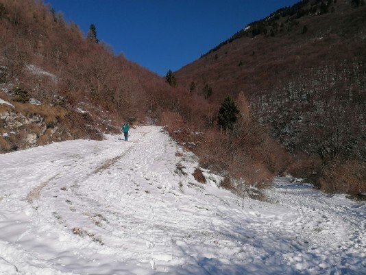Neve sentiero Tommasi - Grola Neve sentiero Tommasi - Grola