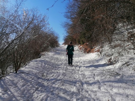 Neve sentiero Tommasi -Grola Neve sentiero Tommasi -Grola