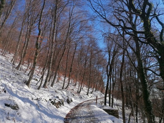 Neve sentiero Tommasi Grola Neve sentiero Tommasi Grola