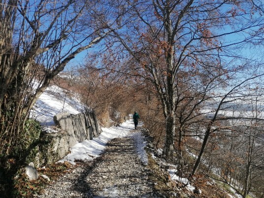 Neve sentiero Tommasi Grola Neve sentiero Tommasi Grola
