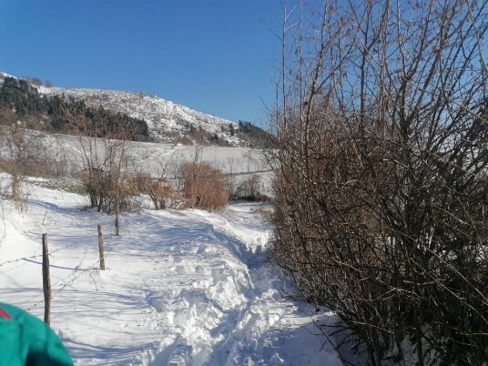 Neve sentiero Tommasi Grola Neve sentiero Tommasi Grola