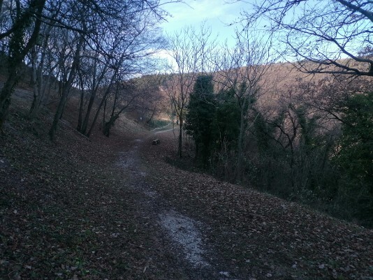 stradine sterrate Parco Valpolicella stradine sterrate Parco Valpolicella