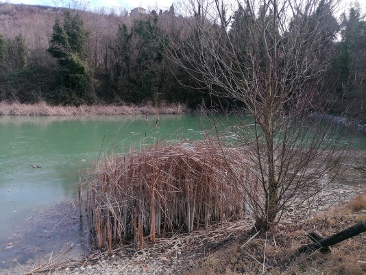 secondo Laghetto il piu bello parco Valpolicella secondo Laghetto il piu bello Parco Valpolicella