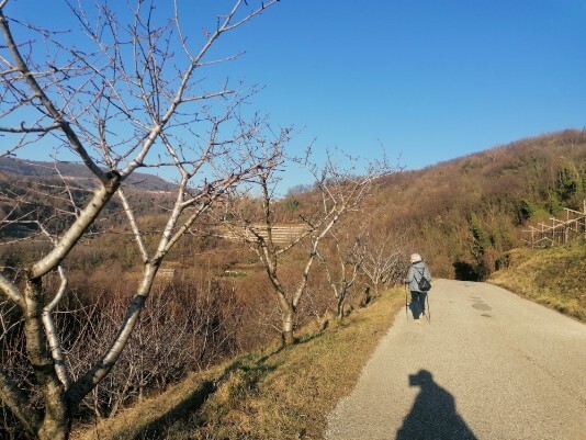 Strada per Marano Strada per Marano