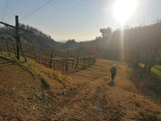 esplorazione territorio esplorazione territorio