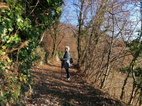 sentiero muretti a secco sentiero muretti a secco