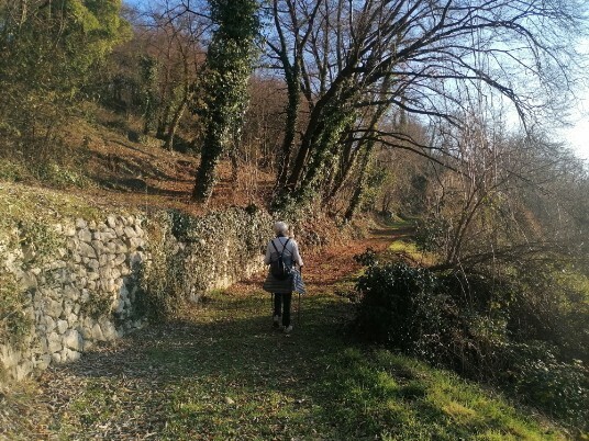 un piacevole sentiero Muretti e alberi un piacevole sentiero Muretti e alberi