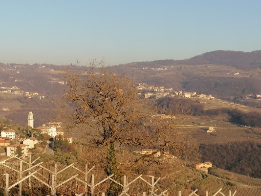 Panorami Valle di Negrar a sx sotto Torbe campanile Panorami Valle di Negrar a sx sotto Torbe campanile