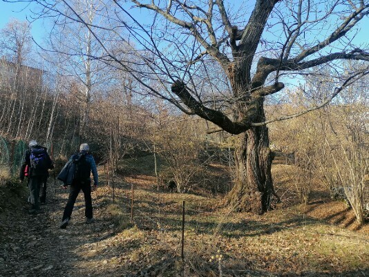 in salita verso Pozze in salita verso Pozze