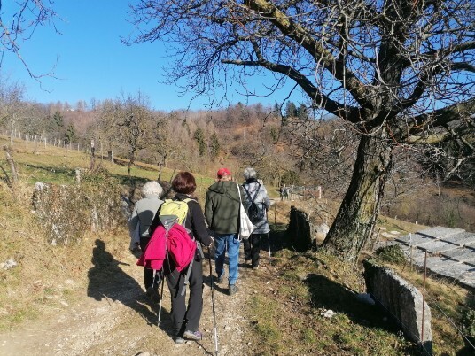 Lasciamo Pozze per direzione Sant'Anna Alfaedo Lasciamo Pozze per direzione Sant'Anna Alfaedo
