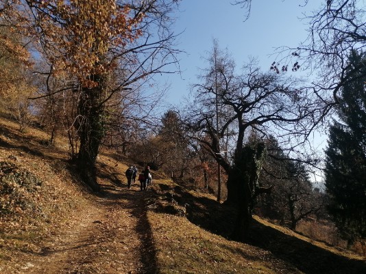 Tratto in salita da Pozze verso Sant'Anna bellissimo Tratto in salita da Pozze verso Sant'Anna bellissimo