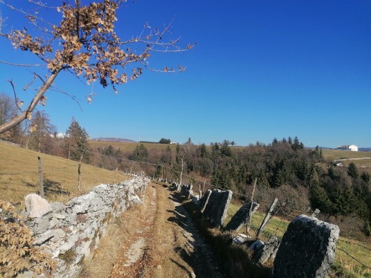 Pontarola sentiero lastre pietra Pontarola sentiero lastre pietra