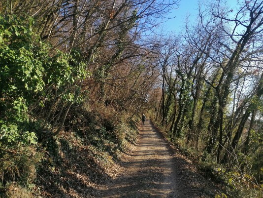 Siresol Cavegine trartto Siresol Cavegone tratto