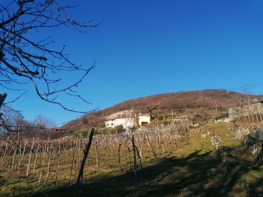 Cà Merli Cà Merli