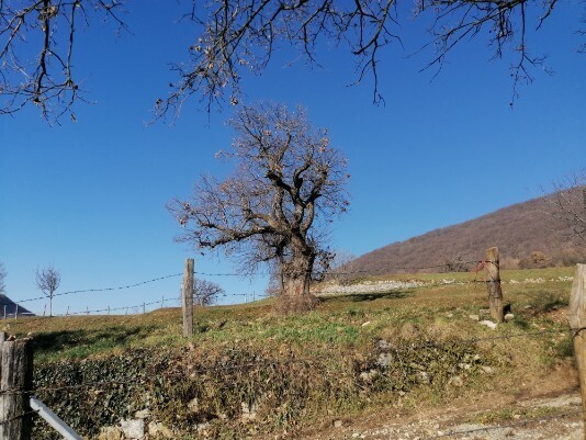 Lumini dintorni Lumini dintorni