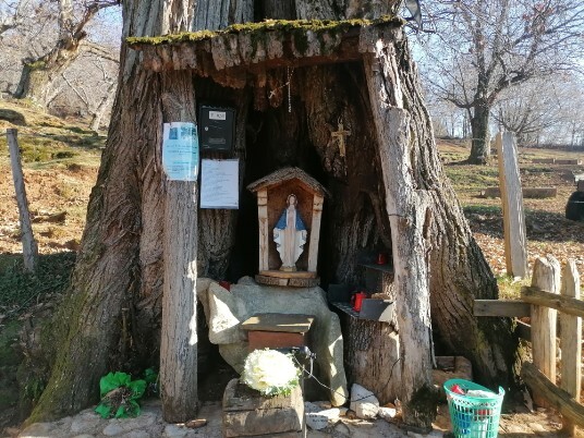 Madonnina dei Castagni a Lumini Madonnina dei Castagni a Lumini