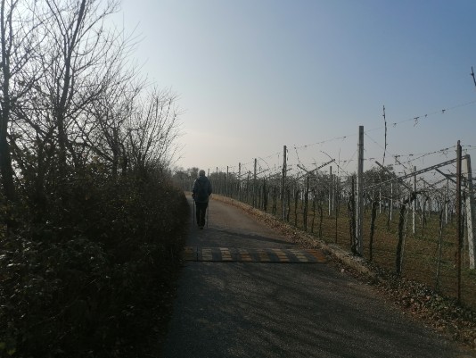 Via Masua in direzione Pedemonte Via Masua in direzione Pedemonte