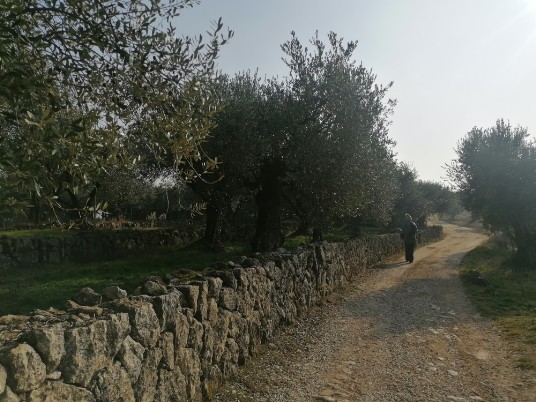 in discesa per Pedemonte la finestra sulla Valpolicella in discesa per Pedemonte la finestra sulla Valpolicella
