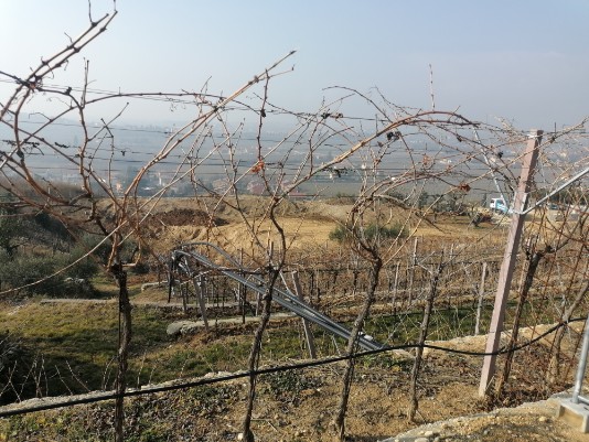 in discesa per Pedemonte la finestra sulla Valpolicella in discesa per Pedemonte la finestra sulla Valpolicella