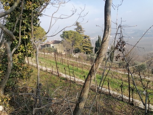 in discesa per Pedemonte la finestra sulla Valpolicella in discesa per Pedemonte la finestra sulla Valpolicella