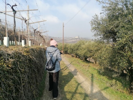 Pedemonte salita per Moron Pedemonte salita per Moron