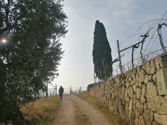 da Crosara in direzione Villa Spinosa da Crosara in direzione Villa Spinosa