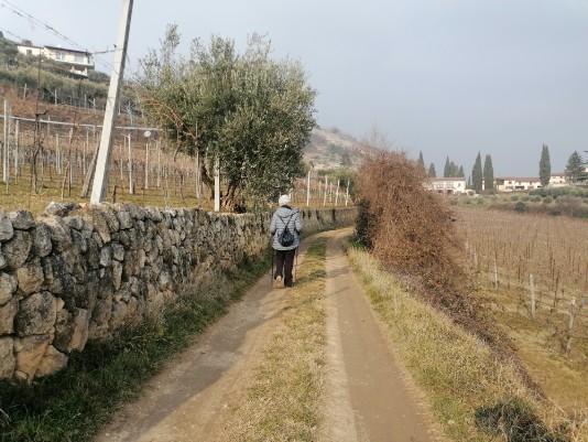 Villa Spinosa sullo sfondo Villa Spinosa sullo sfondo