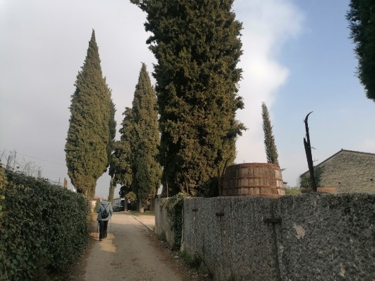 Villa Spinosa Villa Spinosa