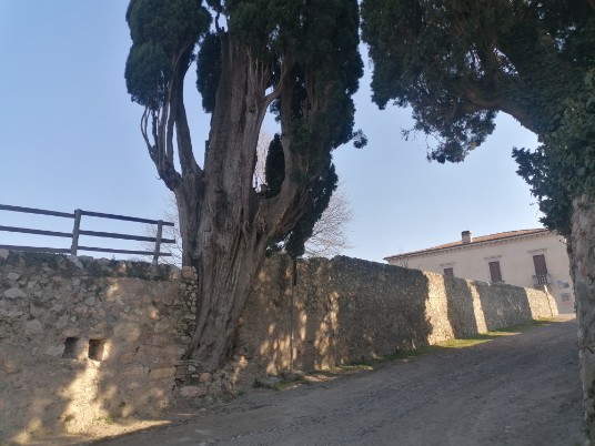 Villa del Bene e cipresso centenario Villa del Bene e cipresso centenario