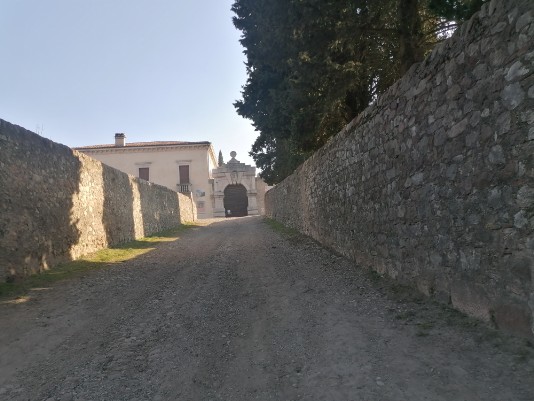 Villa del Bene e cipresso centenario Villa del Bene e cipresso centenario