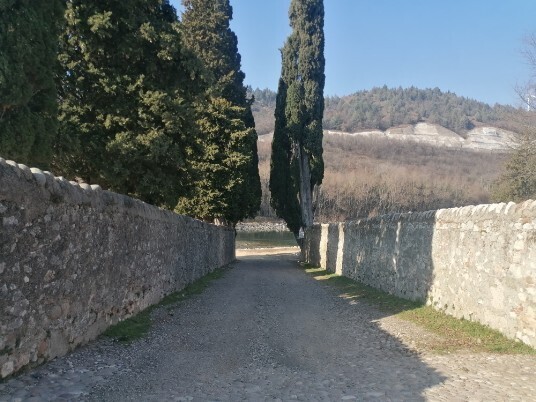 Villa del Bene e cipresso centenario Villa del Bene e cipresso centenario