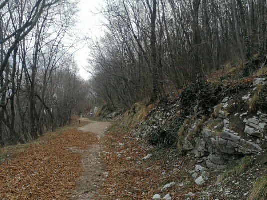 sentiero Monte Cimo sentiero Monte Cimo