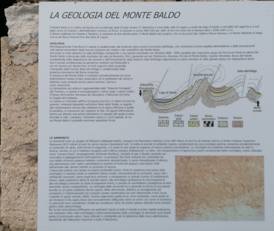 Tabella La Geologia del Monte Baldo Tabella La Geologia del Monte Baldo