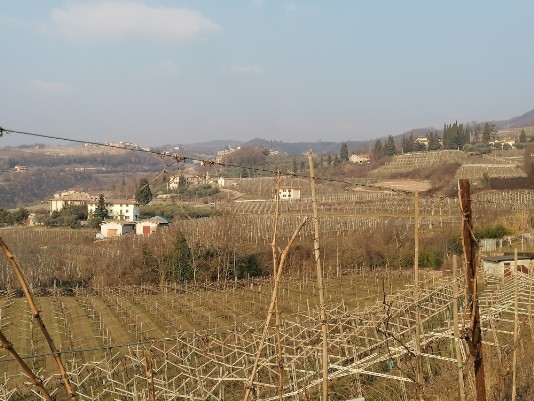 da Forlago a San Ciriaco da Forlago a San Ciriaco