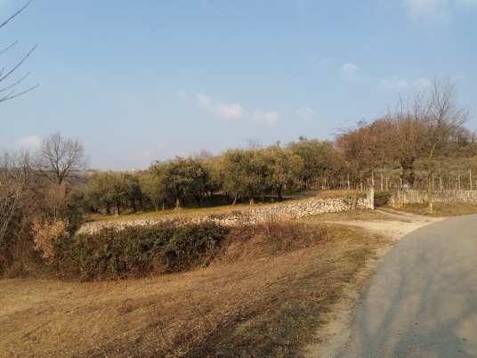 Verso Villa Gazzola Verso Villa Gazzola