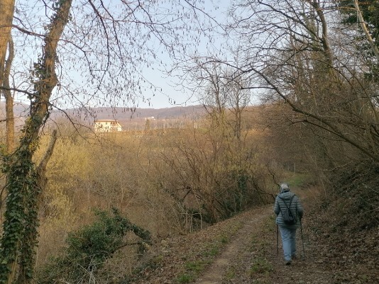 Stradina a sinistra Muri a secco Ulivi e vigneti Stradina a sinistra Muri a secco Ulivi e vigneti