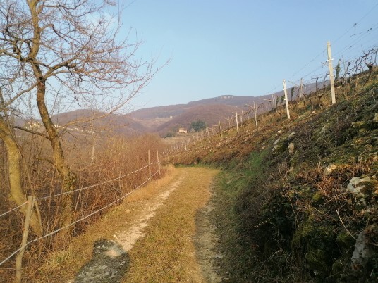 verso Cà Nova verso Cà Nova