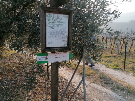 Bivio per Dosso Negrar Bivio per Dosso Negrar