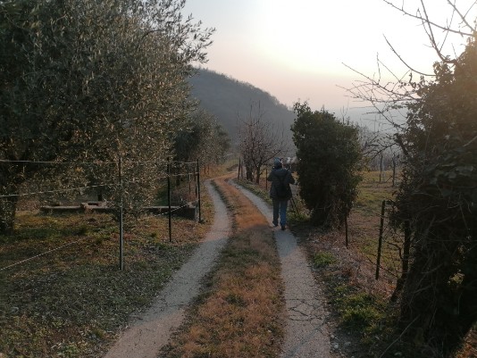discesa verso Dosso discesa verso Dosso