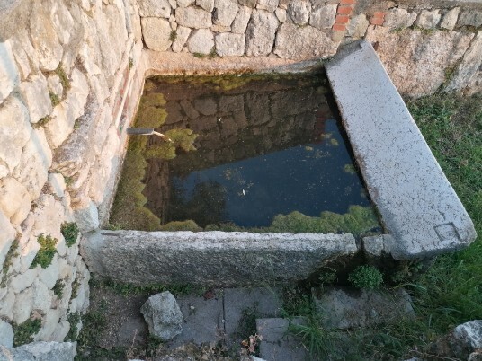 discesa verso Dosso Lavatoio discesa verso Dosso Lavatoio
