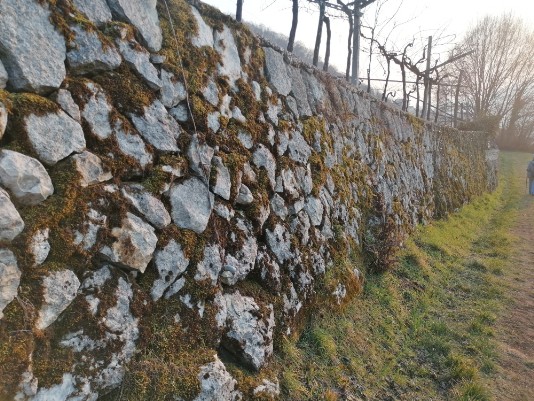 discesa verso Dosso muro a secco discesa verso Dosso muro a secco