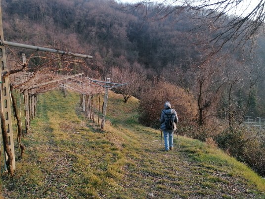 Discesa verso Vaio e a Dosso Discesa verso Vaio e a Dosso