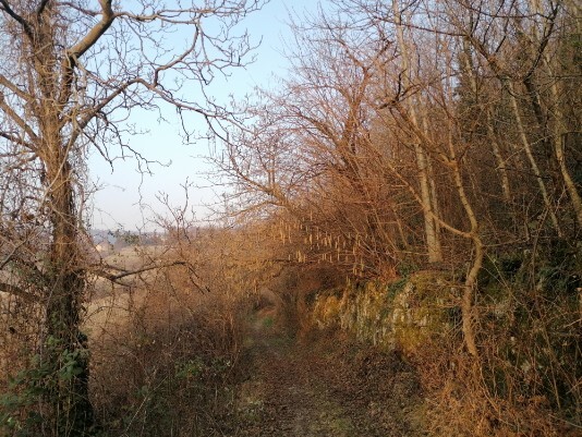 verso Dosso Verso Dosso