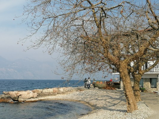 Spiagetta e alberi Spiagetta e alberi