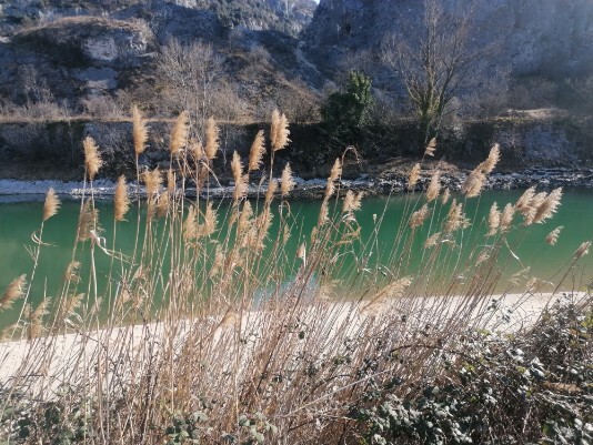 spiaggetta ansa fiume Adige Ceraino spiaggetta ansa fiume Adige Ceraino