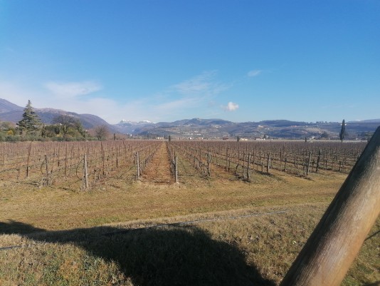 panorama valle di Fumane da strada provinciale panorama valle di Fumane da strada provinciale