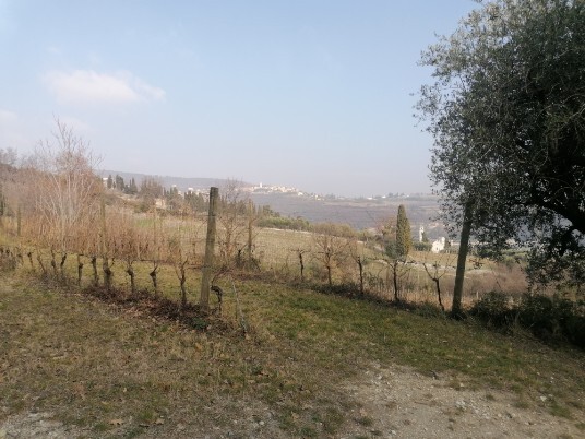 discesa a Sant'Ambrogio di Valpolicella da Poia discesa a Sant'Ambrogio di Valpolicella da Poia